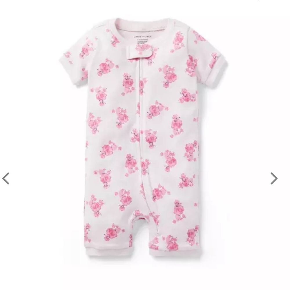 Janie and Jack poodle onesie.
